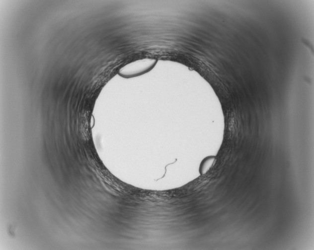 X0000102030868200808151339