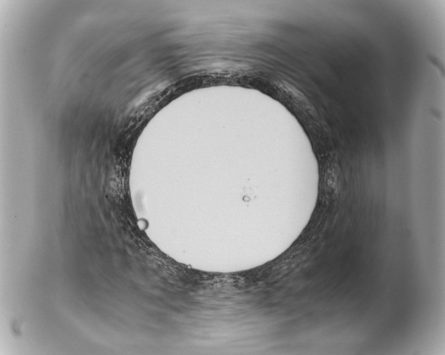 X0000102030869200808151339