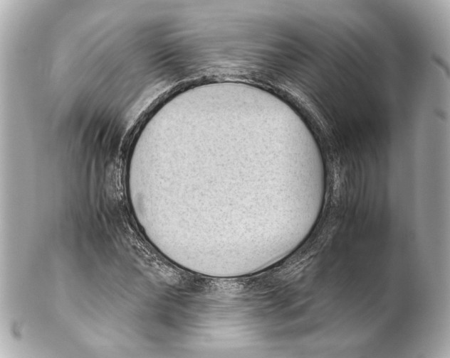 X0000102030878200808151339