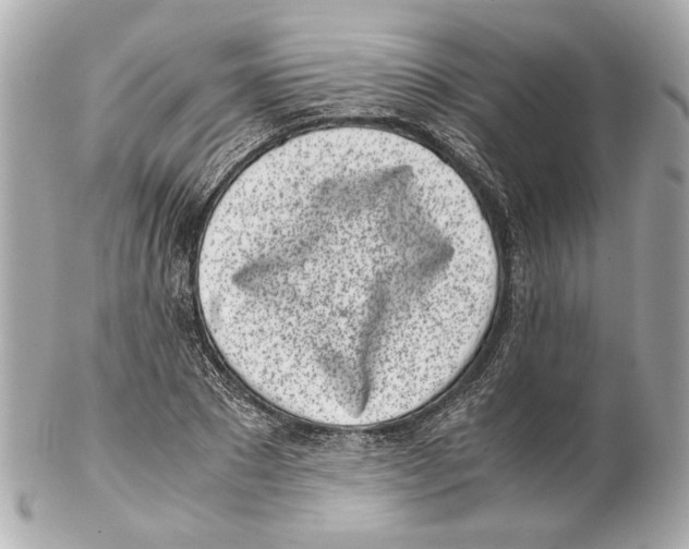 X0000102030881200808151338