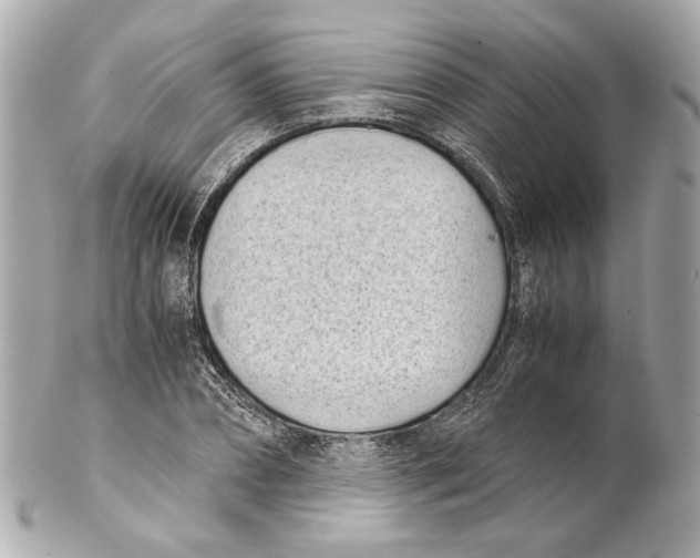 X0000102030882200808151338