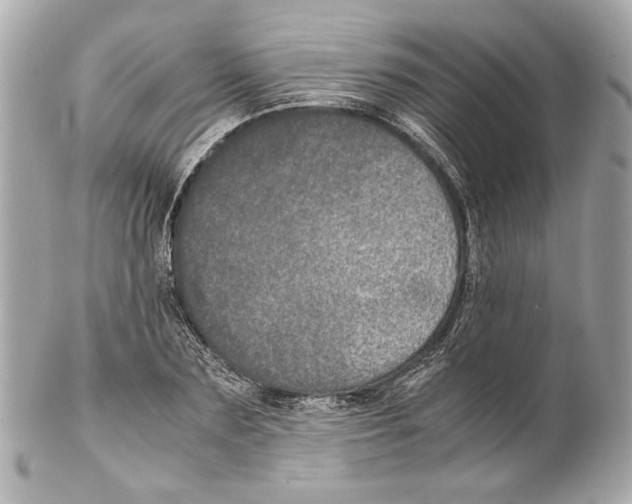 X0000102030883200808151338