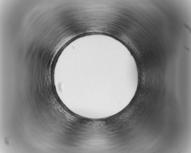 X0000102030884200808151338