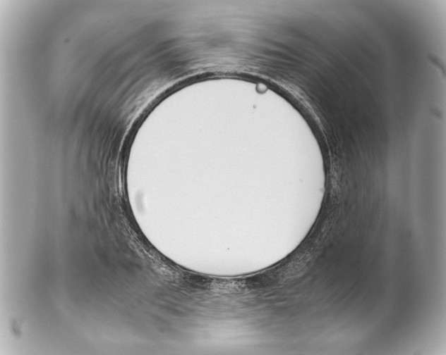 X0000102030887200808151338