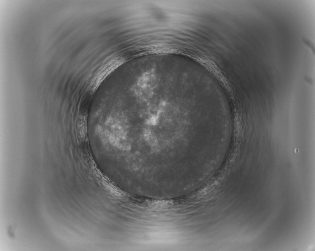 X0000102030889200808151338