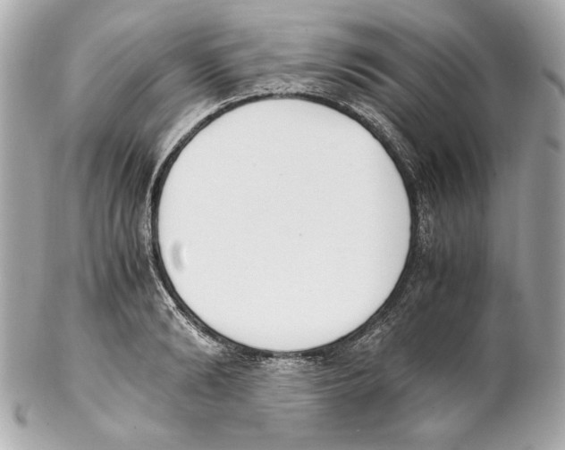 X0000102030894200808151338