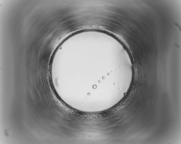 X0000102030895200808151338