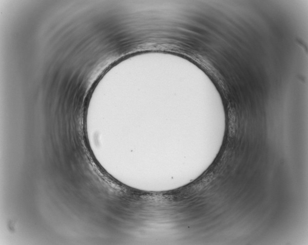 X0000102030896200808151338