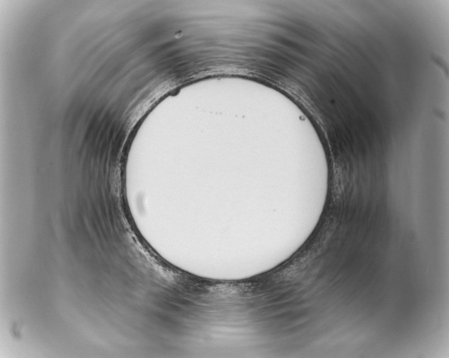 X0000102030898200808151338