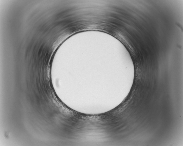 X0000102030900200808151338