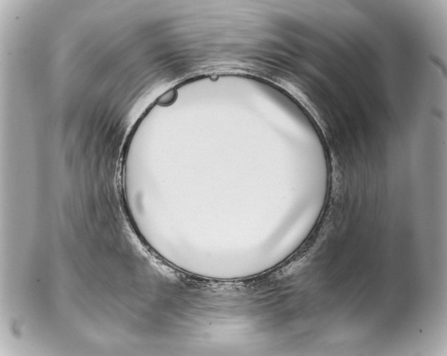 X0000102030901200808151338