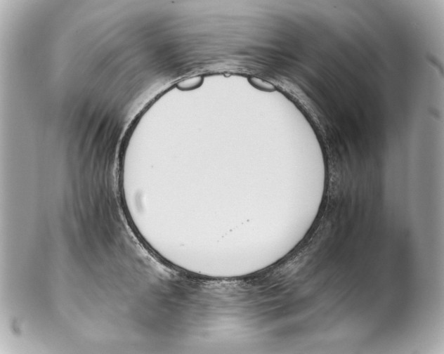 X0000102030902200808151338