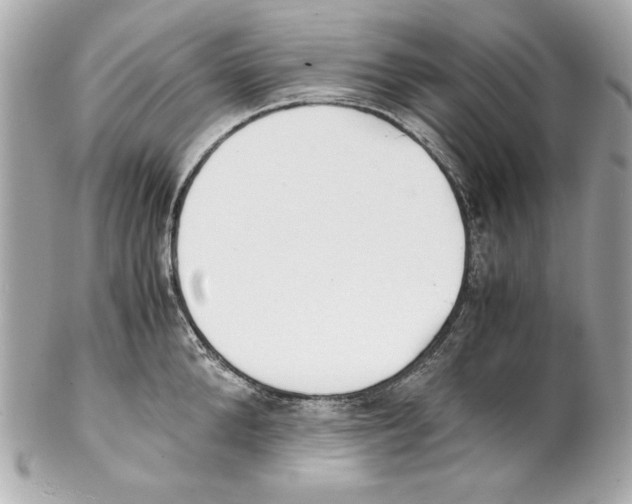 X0000102030904200808151338