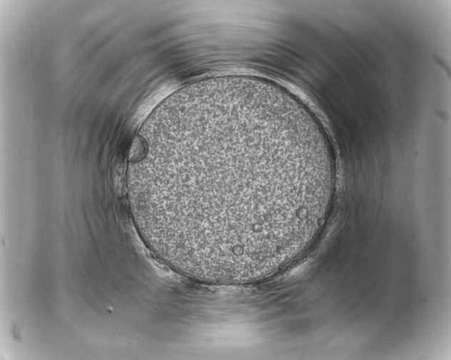 X0000102030905200808151338