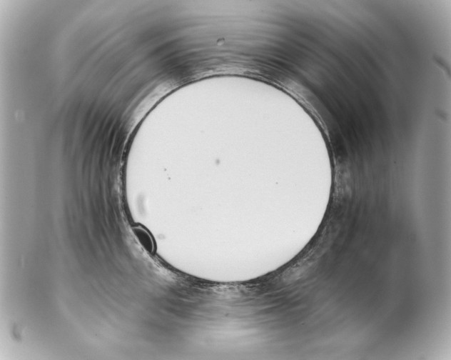 X0000102030906200808151338