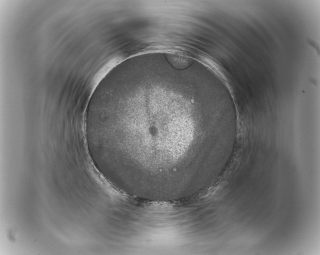 X0000102030907200808151338