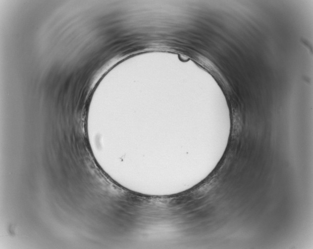 X0000102030908200808151338