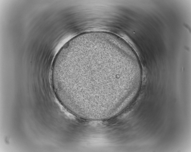 X0000102030909200808151338