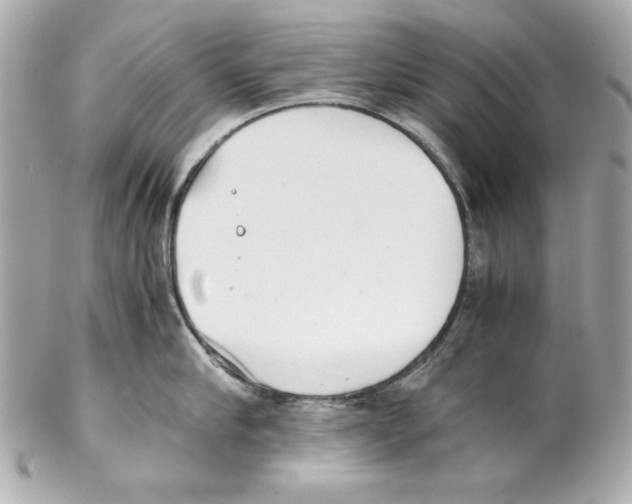 X0000102030910200808151338