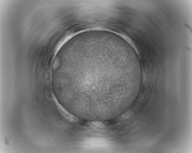 X0000102030911200808151338