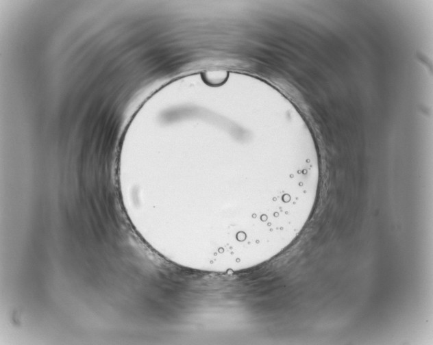 X0000102030912200808151338