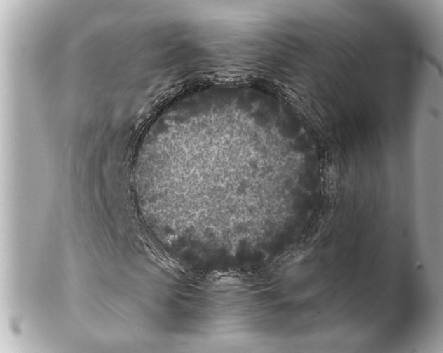 X0000102030913200808151337