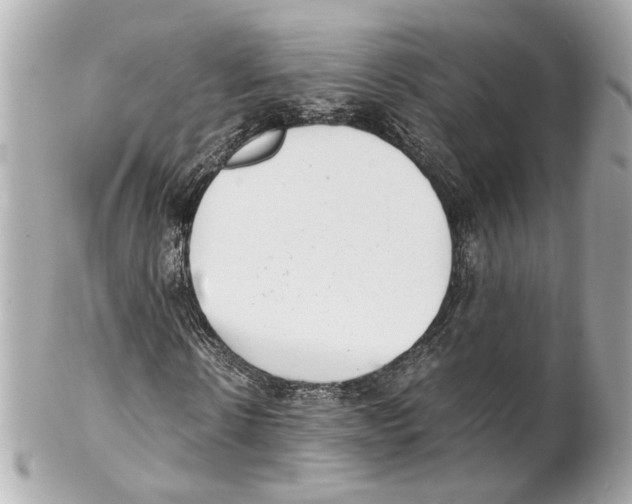 X0000102030914200808151337