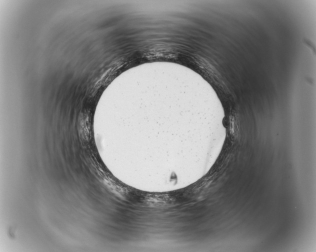 X0000102030915200808151337