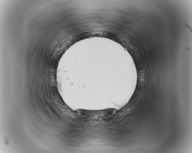 X0000102030916200808151337