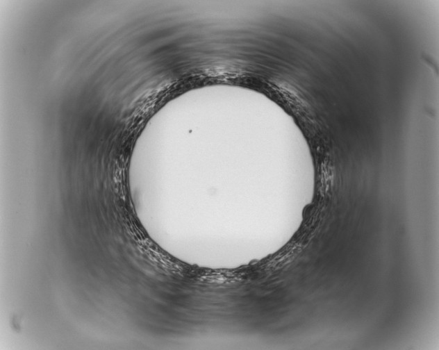 X0000102030917200808151337