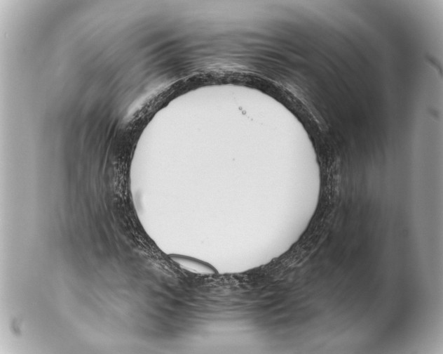 X0000102030919200808151337