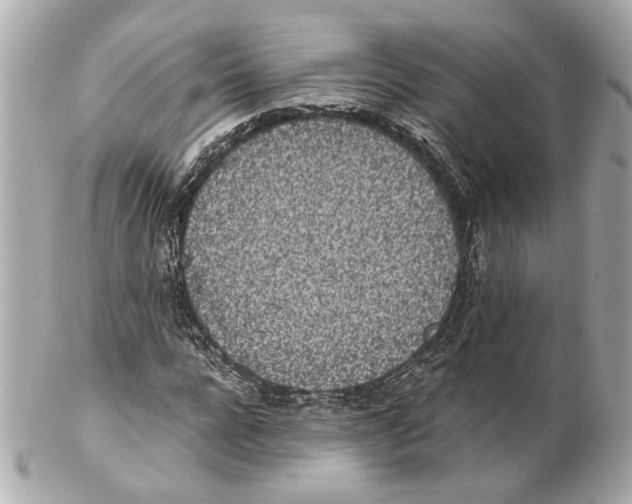 X0000102030920200808151337