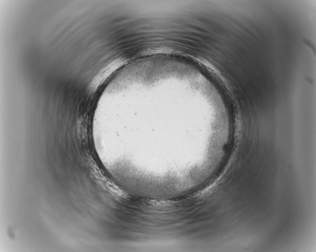 X0000102030921200808151337