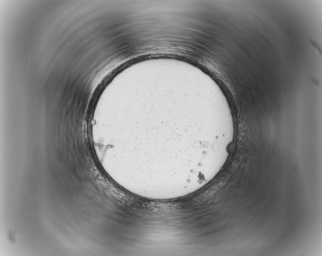 X0000102030928200808151337