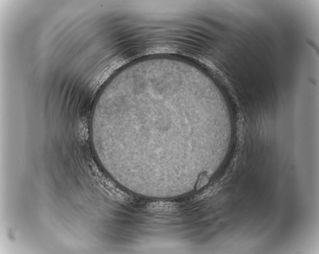 X0000102030929200808151337