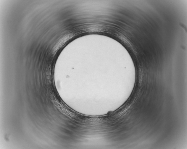 X0000102030930200808151337