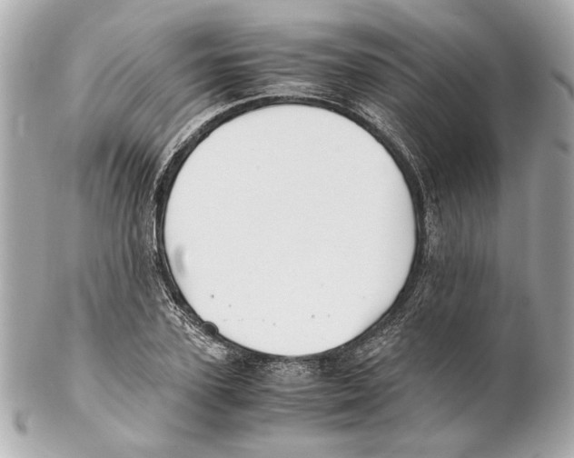 X0000102030931200808151337