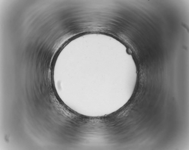 X0000102030932200808151337