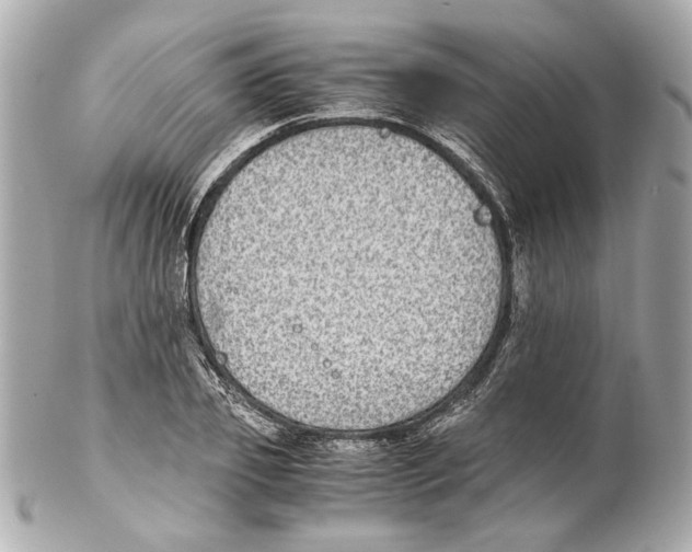 X0000102030933200808151337