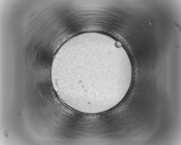 X0000102030937200808151338