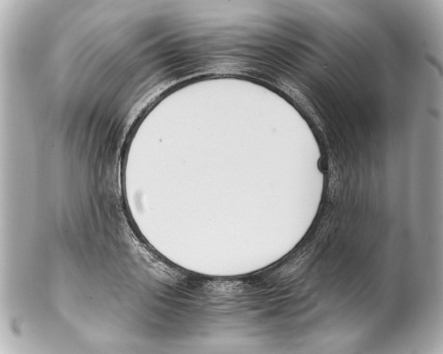 X0000102030939200808151338