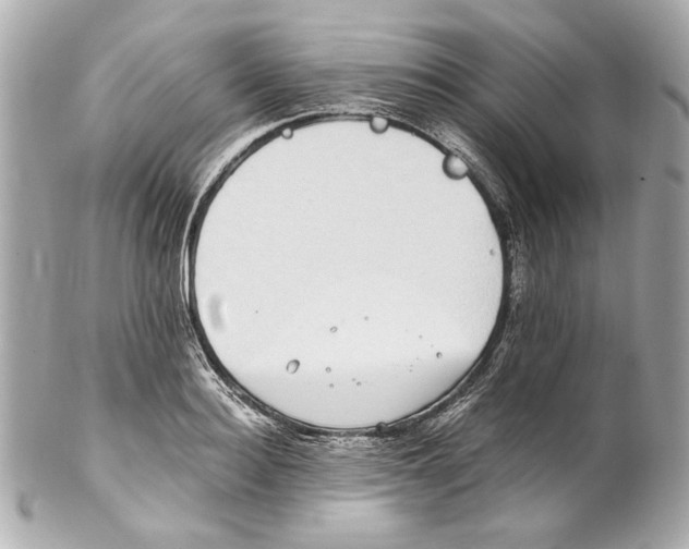 X0000102030940200808151338