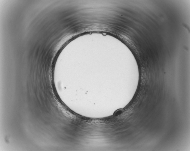 X0000102030942200808151338