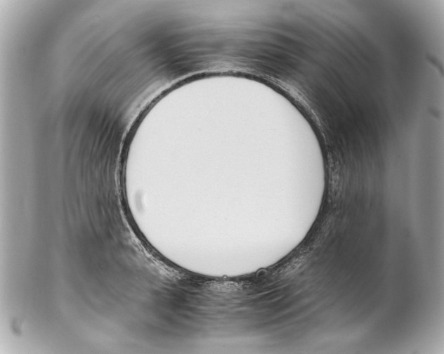 X0000102030943200808151338