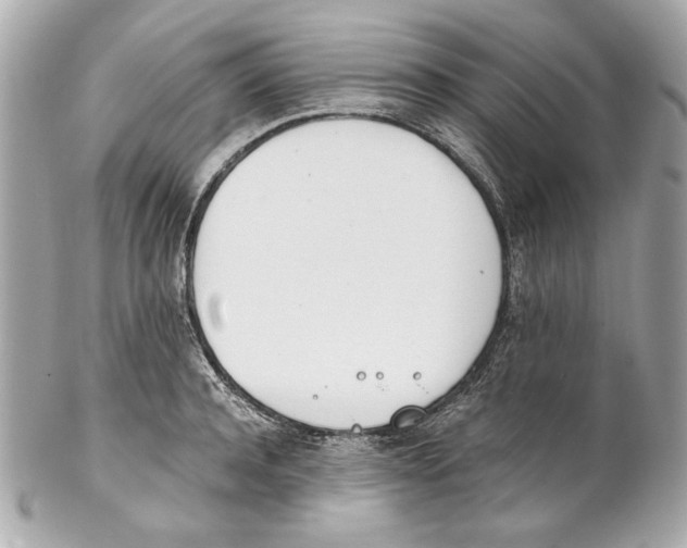 X0000102030944200808151338