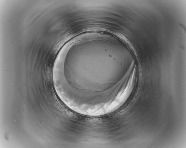 X0000102030945200808151338