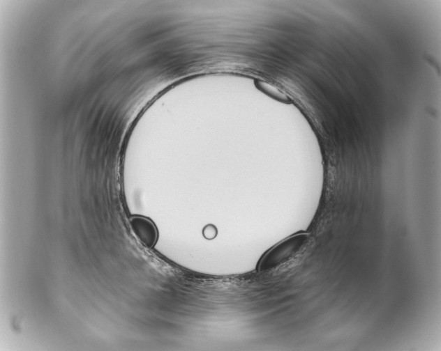 X0000102030948200808151338