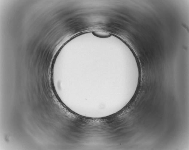 X0000102030949200808151338