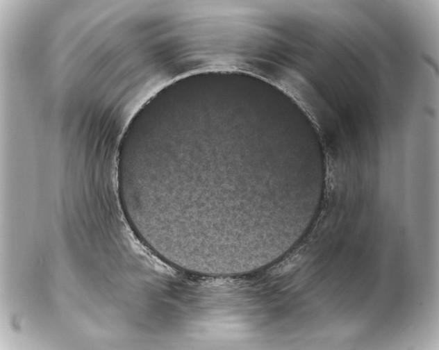 X0000102030950200808151338