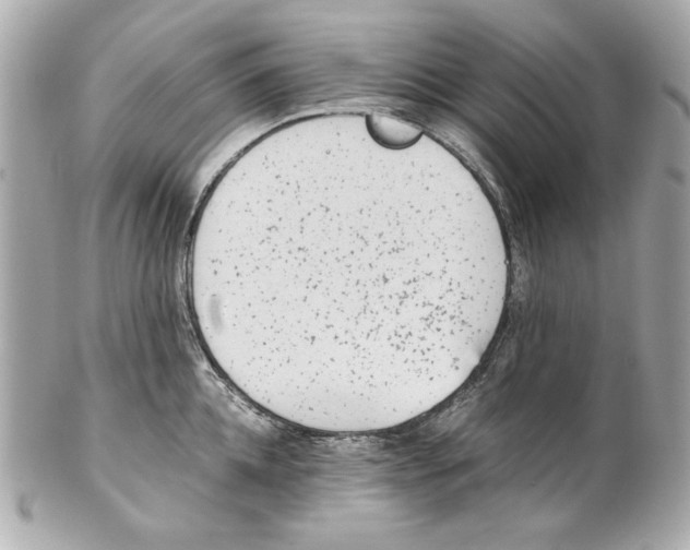 X0000102030952200808151338